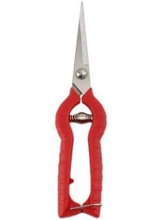 مقص تقليم عنب صاج بشفرات من الفولاذ المقاوم للصدأ مع مقبض أحمر